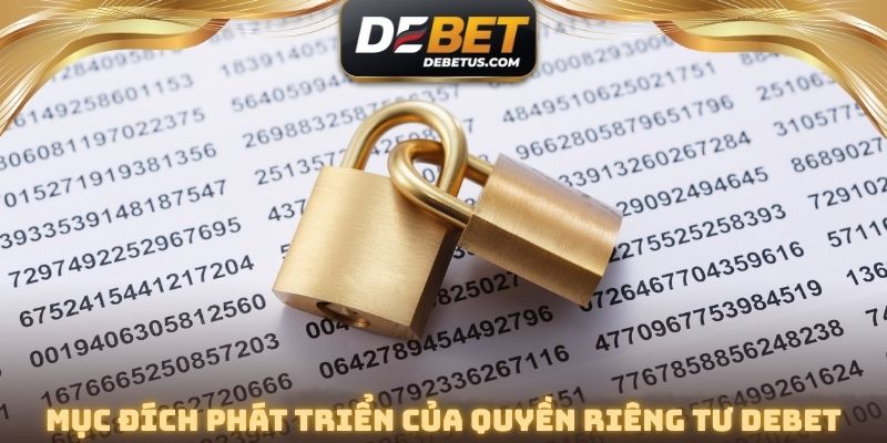 Mục đích phát triển của quyền riêng tư DEBET